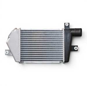 CRMT073023 A 1200 x 1200