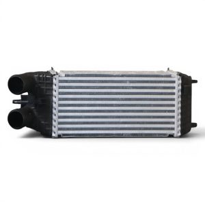 CRPG073003 A 1200 x 1200