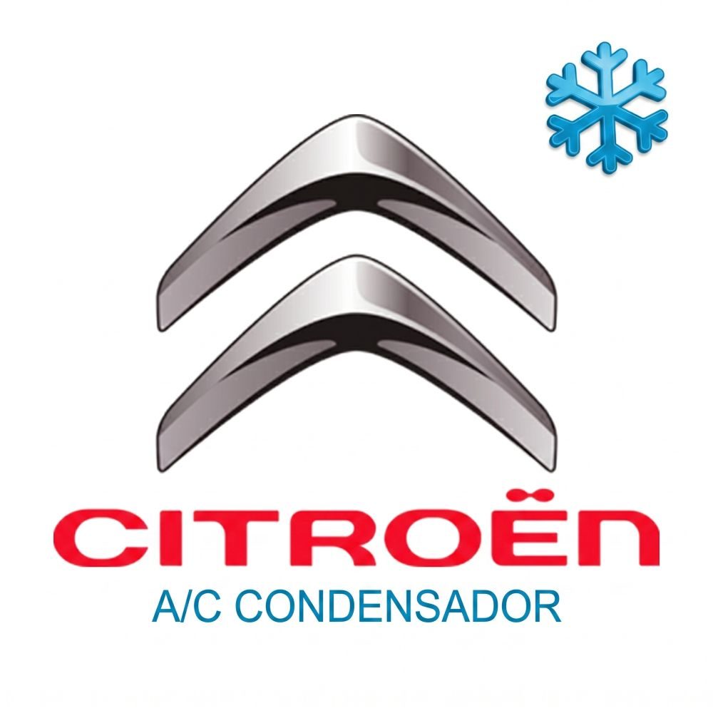 LOGO CITROEN AC CONDENSADOR jpg